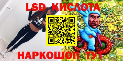 ГАЛЛЮЦИНОГЕННЫЕ ГРИБЫ Берёзовский