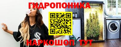 кокс Бийск
