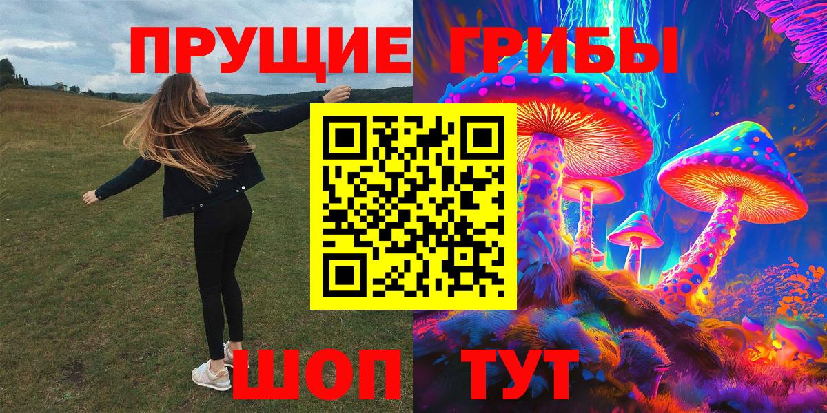 Галлюциногенные грибы Psilocybine cubensis Камышлов
