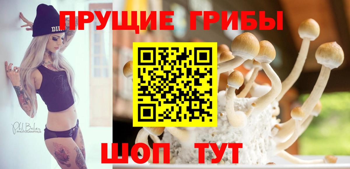 Камышлов  Галлюциногенные грибы Psilocybe  Вход с VPN  Псилоцибиновые грибы GOLDEN TEACHER 